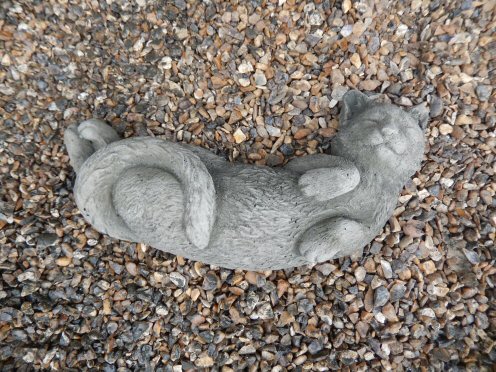 KA215 Laying Cat
